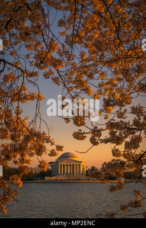 Washington, DC Cherry Blossom Festival Banque D'Images