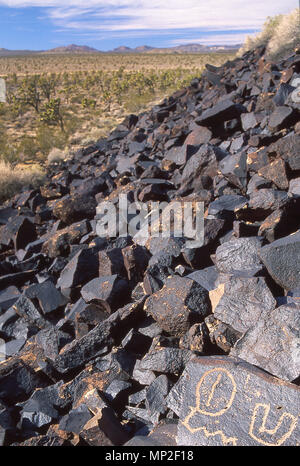 Petrogylphs dans le désert de Mojave en Californie Banque D'Images