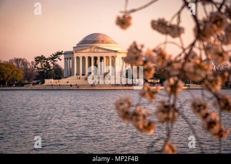 Washington, DC Cherry Blossom Festival Banque D'Images