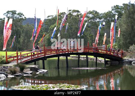 Les gens sur le pont au-dessus de l'eau au Jardin botanique, l'Australie, Coffs Harbour. Ballons à thème japonais traditionnel volant dans l'air à la Fête des enfants japonais Banque D'Images