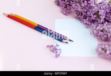 Feuilles de papier propre et blanc lilas fleurs de printemps, sur un fond rose. Printemps des maquettes télévision thème laïcs Banque D'Images