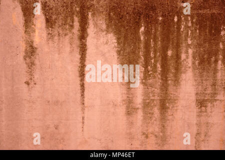 Le close-up of green reste d'algues et de plantes ainsi que des traces d'eau usée sur la surface d'un mur. Banque D'Images