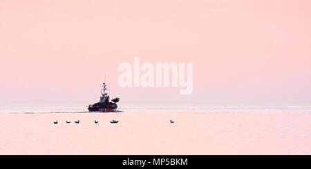 Un seul bateau de pêche en mer les têtes de Scarborough dans la lumière rose de l'aube. Banque D'Images