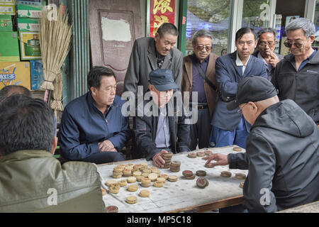 De vieux hommes jouant Xiangqi, échecs chinois, Jiayuguan, Gansu, Chine Banque D'Images