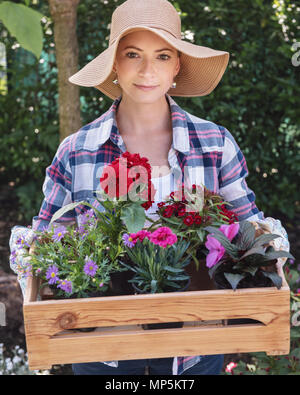 Belle femme jardinier wearing straw hat holding des caisses en bois plein de fleurs prêts à être plantés dans son jardin. Concept de jardinage. Les petites entreprises. Banque D'Images