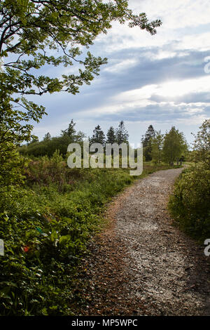 Hohes Venn-Eifel Nature Park Banque D'Images