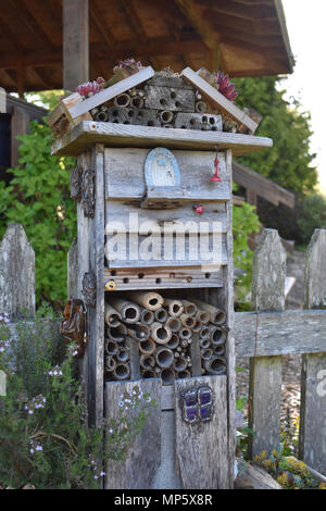 Maison de l'abeille dans le jardin Banque D'Images