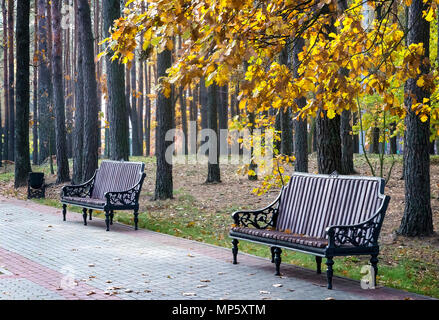 Paysage d'automne : allée dans le parc avec des bancs pour se reposer, sur le terrain et sur les branches des arbres feuilles jaunes. Banque D'Images