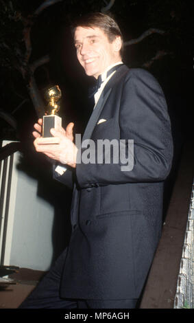 Los Angeles, CA - le 19 janvier : l'acteur Jeremy Irons assiste à la 48e assemblée annuelle Golden Globe Awards le 19 janvier 1991 au Beverly Hilton Hotel à Beverly Hills, Californie. Photo de Barry King/Alamy Stock Photo Banque D'Images