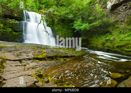 Cascade de Sgwd Clun-gwyn (White Meadow Fall) sur la rivière Afon Hepste dans le parc national de Bannau Brycheiniog (Brecon Beacons) près de Ystradfellte, Powys, pays de Galles. Banque D'Images