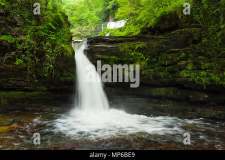 Sgwd ISAF Clun-gwyn (chute inférieure du pré blanc) cascade sur la rivière Afon Mellte dans le parc national de Bannau Brycheiniog (Brecon Beacons) près de Ystradfellte, Powys, pays de Galles. Banque D'Images