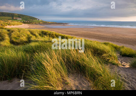 Les dunes de sable de Croyde Bay sur la côte nord du Devon, Angleterre. Banque D'Images