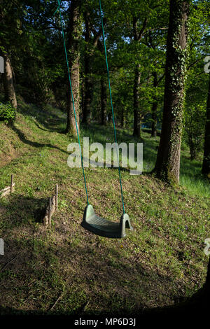 Temps libre dans les bois,massif, frein,arbustes, végétation, verdure, la couverture du sol, Underwood, copsewood, broussailles, pinceau, brosser, sous Banque D'Images