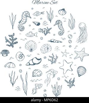 Hand drawn vector set marine avec des hippocampes, des coquillages, des étoiles, algues, poissons, coraux et des bulles. Les créatures de la mer aperçu sur le fond blanc au croquis Illustration de Vecteur