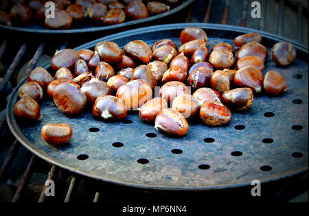 Portrait Of Chestnut sur Barbecue Banque D'Images