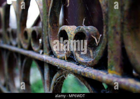 Macro de fer rouillé métal garde-corps Banque D'Images