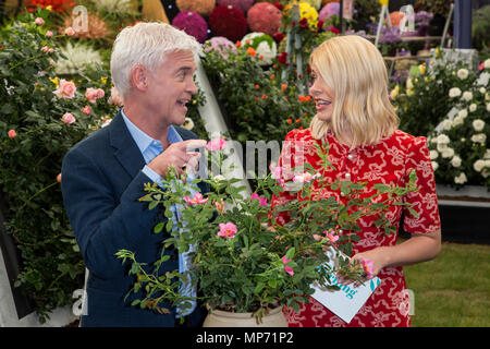 Londres, Royaume-Uni. 21 mai 2018. L'ITV ce matin présentateurs Phillip Schofield et Holly Willoughby un nom 'rose' ce matin à Harkness Roses. Appuyez sur Jour à la 2018 RHS Chelsea Flower Show qui ouvre ses portes au public demain. Photo : Bettina Strenske/Alamy Live News Banque D'Images