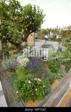 Londres, Royaume-Uni. 21 mai 2018. Le Lemon Tree Garden Trust (conçu par Tom Massey), l'un des beaux et élégants jardins afficher sur l'affichage à l'2018 RHS Chelsea Flower Show qui a ouvert ses portes aujourd'hui dans les 11 acres de terrain de l'Hôpital Royal de Chelsea, Londres, Royaume-Uni. Le jardin s'inspire de la résistance et la détermination des personnes dans les situations de migration forcée et le déplacement. Leur capacité à tirer le meilleur parti de dures conditions de vie et des paysages, et leur dévouement à créer des jardins et embellir leur espace personnel est profondément inspirante. Crédit : Michael Preston Banque D'Images