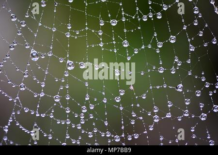 Nannin, Nannin, Chine. 22 mai, 2018. Nanning, CHINE-paysage après la pluie à Nanning, Guangxi du sud-ouest de la Chine. Crédit : SIPA Asie/ZUMA/Alamy Fil Live News Banque D'Images