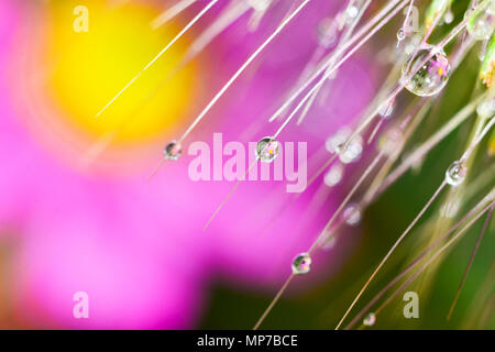 Nannin, Nannin, Chine. 22 mai, 2018. Nanning, CHINE-paysage après la pluie à Nanning, Guangxi du sud-ouest de la Chine. Crédit : SIPA Asie/ZUMA/Alamy Fil Live News Banque D'Images