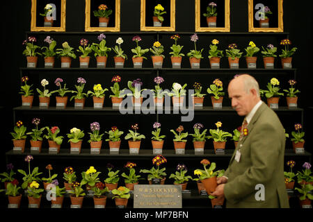 Londres, Grande-Bretagne. 21 mai, 2018. Un homme prépare son affichage à la RHS Chelsea Flower Show qui a eu lieu dans l'enceinte de l'Hôpital Royal de Chelsea à Londres, Grande-Bretagne, le 21 mai 2018. La Chelsea Flower Show, autrement connu comme le Grand Salon du printemps et détenus par la Royal Horticultural Society (RHS), est le plus grand jardin de fleurs et de paysage au Royaume-Uni. Crédit : Tim Irlande/Xinhua/Alamy Live News Banque D'Images