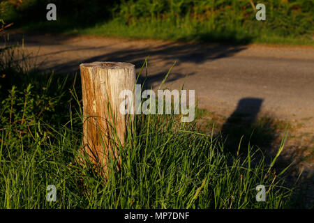 Shor fencepost dans soleil du soir Banque D'Images