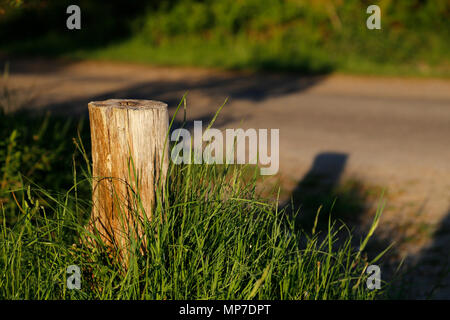 Shor fencepost dans soleil du soir Banque D'Images