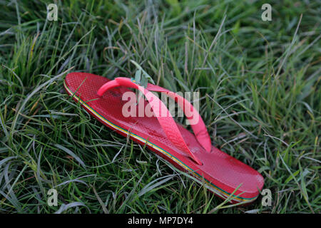 Flip flop rouge dans l'herbe Banque D'Images
