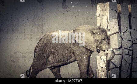 Détruire l'éléphant d'mur de béton Banque D'Images
