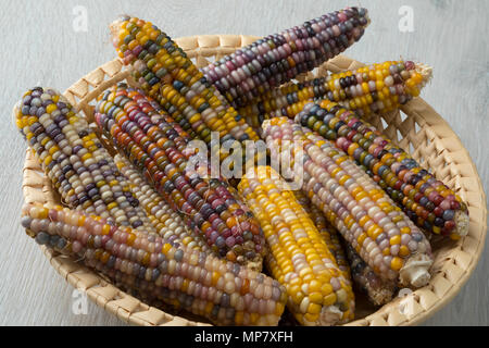Panier avec des matières premières fraîches la diversité colorée de la gem sur maïs en verre s/n Banque D'Images