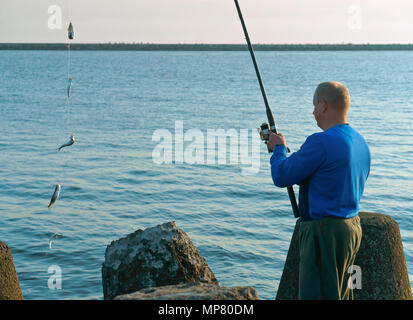 Un homme a attrapé un poisson sur une canne à pêche, pêche sur un Salak, pêche dans la soirée, la pêche en mer au printemps Banque D'Images