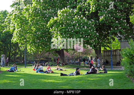 Les jeunes se détendent sur la pelouse par une floraison florale châtaignier au printemps dans un parc au soleil Journée ensoleillée à Paris France KATHY DEWITT Banque D'Images