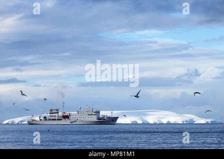 Grand bateau de croisière dans les eaux antarctiques, Wilhelmina Bay, péninsule Antarctique, l'Antarctique Banque D'Images