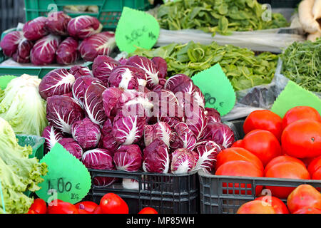 Chicorée chicorée italienne des légumes au marché de fermiers Banque D'Images