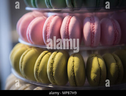 Délicieux macarons colorés frais biscuits ronds sur une plaque Banque D'Images