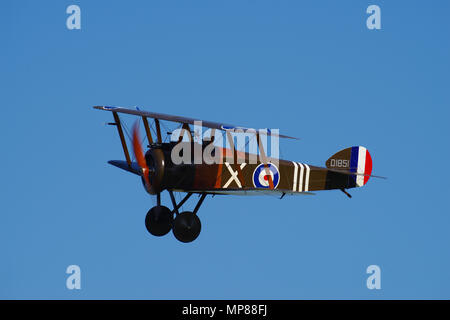 Sopwith Camel Replica D1851, Ikanopit, G-BZSC, à Old Warden, Shuttleworth Collection, Banque D'Images