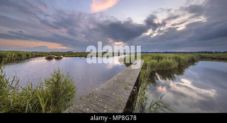 Passerelle en bois sur la rivière comme un concept pour le défi en réserve naturelle de Onlanden près de Groningen, Pays-Bas Banque D'Images