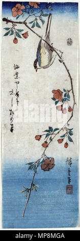 Shokin ni Kaido (Petit oiseau sur une branche de Kaidozakura) vers 1844 - 1848. 755 Kaido ni Shokin Banque D'Images