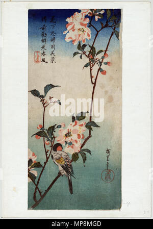 Shokin ni Kaido (Petit oiseau sur une branche de Kaidozakura) vers 1833 - 1838. 755 Kaido ni shokin3 Banque D'Images