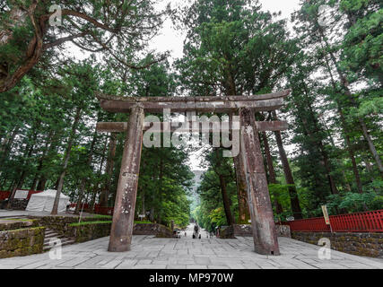 Torii japonais Banque D'Images