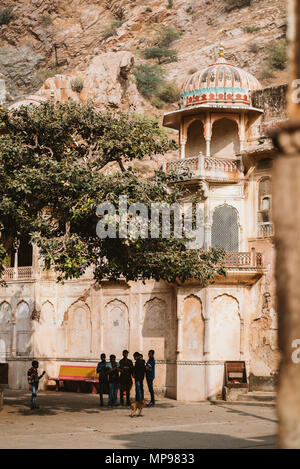 Visiter Galta Ji, le temple aux singes à Jaipur, Inde Banque D'Images