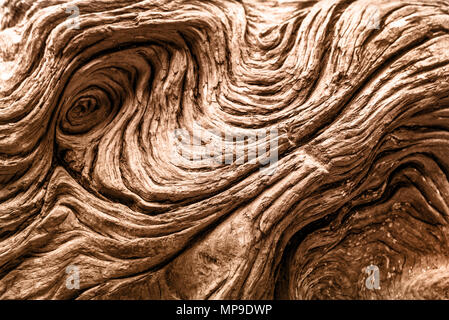 Détail de bois flotté. Fond texturé naturelles Banque D'Images