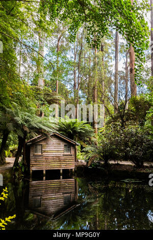 Vieux chalet dans une forêt Banque D'Images