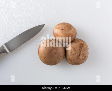 Vue de dessus de l'ensemble de trois champignons bella bébé avec un couteau sur le côté au sommet d'une planche à découper en plastique blanc. Banque D'Images