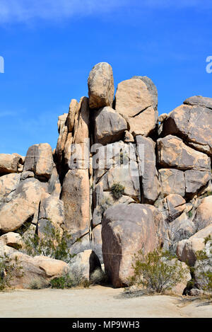 Rock Pile monzogranite, aplitiques veines, Quail Printemps, Joshua Tree National Park, CA 68117 180312 Banque D'Images