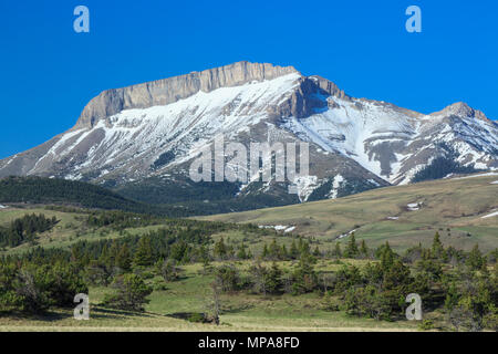 La montagne de l'oreille le long du front de mer près de Rocky Mountain, montana choteau Banque D'Images