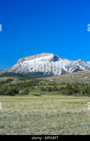 La montagne de l'oreille le long du front de mer près de Rocky Mountain, montana choteau Banque D'Images