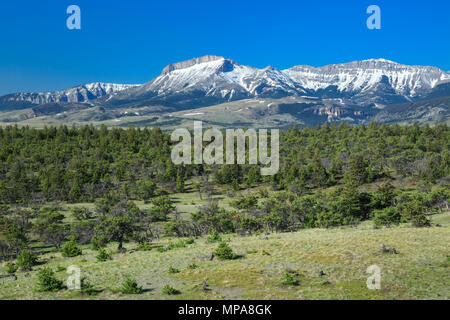La montagne de l'oreille le long du front de mer près de Rocky Mountain, montana choteau Banque D'Images