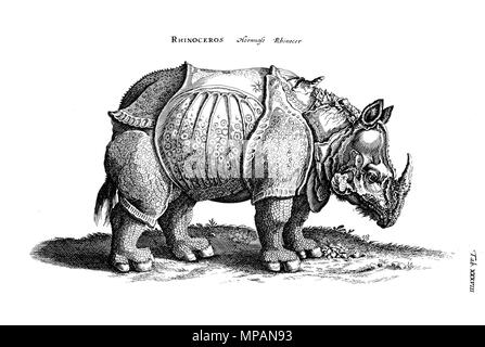 . Anglais : Copperplate-Illustration de 'Historiae naturalis de Quadrupedibus libri' plaque, XXXVIII. Rhinoceros. Deutsch : Kupferstich-Illustration aus 'Historiae naturalis de Quadrupedibus libri' Tafel, XXXVIII. Rhinozeros. 1650. Matthäus Merian der Ältere 885 Merian, 1650 Rhinozeros Tiere Banque D'Images