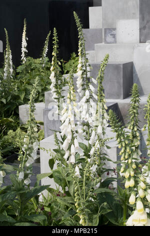 La peau profondément au jardin RHS Chelsea 2018 conçu par Robert Barker Banque D'Images